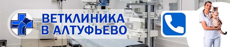 ветеринарная алтуфьево