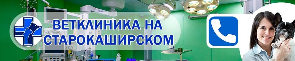 ветеринарная Cтарокаширское шоссе