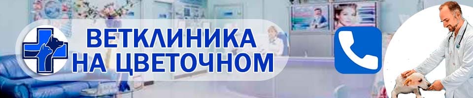 ветеринарная на Цветочном