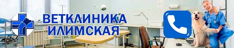 ветеринарная Илимская