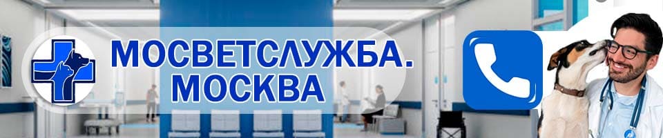 ветеринарная Илимская