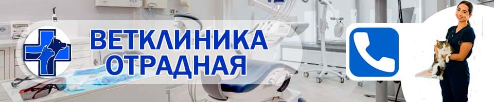 ветеринарная Отрадная