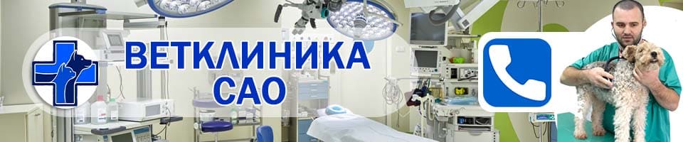ветеринарная сао