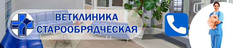 ветеринарная Старообрядческая