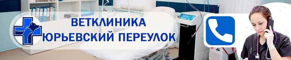 ветеринарная Юрьевский переулок