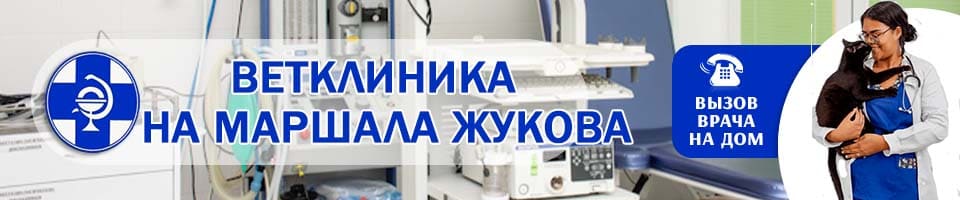 ветеринарная Маршала Жукова