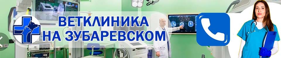 ветеринарная Зубарев переулок
