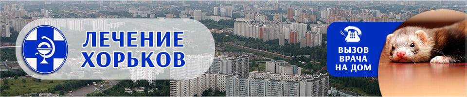 vetuslugi