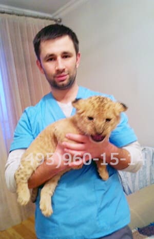 Мезинцев Станислав Вячеславович