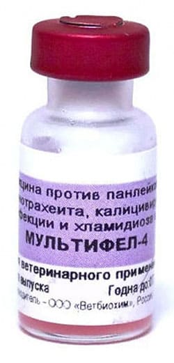 мультифел